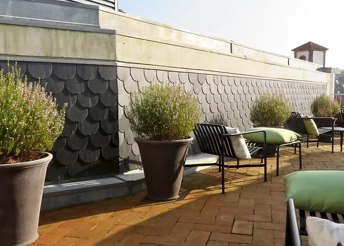 Serviced - Miragaia Ii